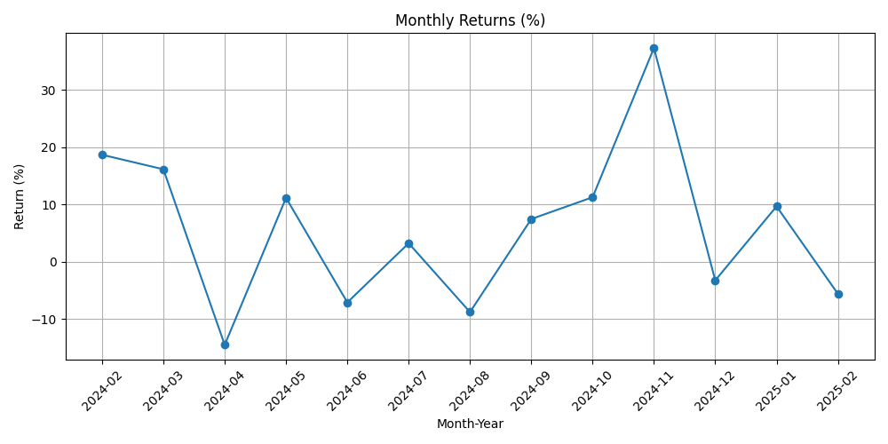 Bitcoin Monthly Returns